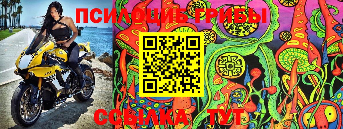 Галлюциногенные грибы GOLDEN TEACHER  Псилоцибиновые грибы Psilocybine cubensis  Вход с VPN  Петрозаводск 