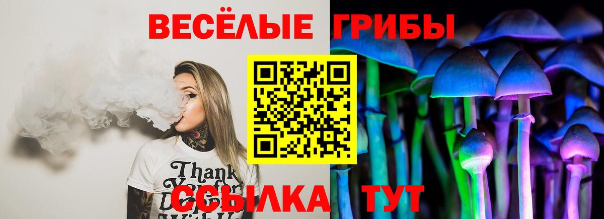 Псилоцибиновые грибы прущие грибы Петрозаводск