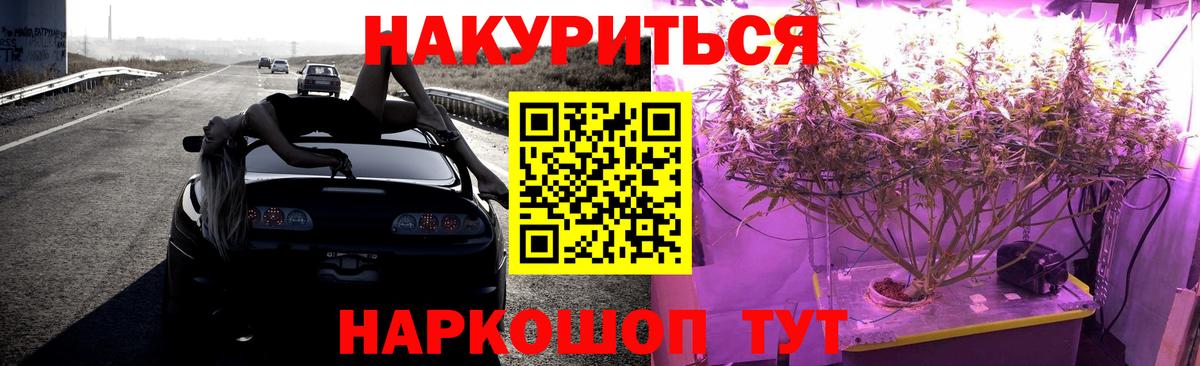 Канабис сатива Петрозаводск